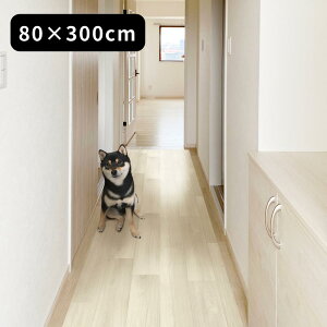 4size { ybgp h L L~ 80cm 2m 3m 4m 5m y݌ɗLz| Lp}bg L ybg ׂȂ O ybg h Ȃ L~ ybg}bg ybgO ؖڒ L 