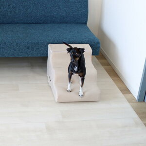 ybgXebv X[v ɂȂ Ibg} 28×65×39cm y݌ɗLz| hbOX[v Xebv  ybgp Ki hbOXebv ybgX[v ybgXebv  RpNg px 