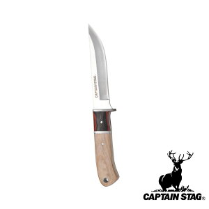LveX^bO(CAPTAIN STAG) CS tB[hiCt 115(V[Xt) y݌ɗLz| V[Xt iCt V[XiCt AEghA n115mm 115V[Xt XeX Lv V[Xt 22 