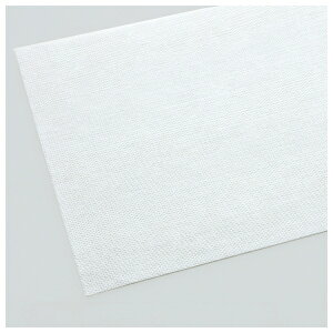 eg(TERAMOTO) oCI}X_X^[ 200×490mm(100) CL-365-049-0 [@l] | eg bv bvp V[g _X^[ tAV[g @p