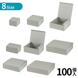 Iׂ8size 100 X^CbVBOX O[ | O[ X^CbV  zp p Mtg HHip HHi l i{[ Εp p  bsOpi 