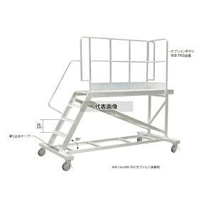 ���J��H�� �A������^��Ƒ� �S���F257cm(10358) WB-10a