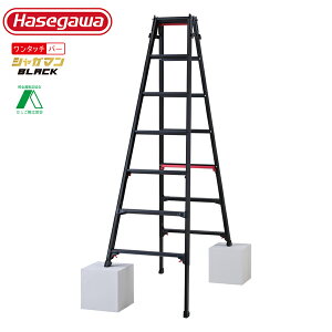 JH ͂pLkr 㕔^Cv VK}ubN RYRB-21(10762)[@l]