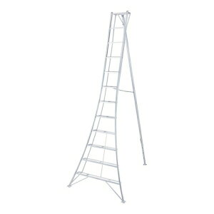 JHƁ@Orr@GSC-360a@(17852)@O[Xebv@A~@[@l]