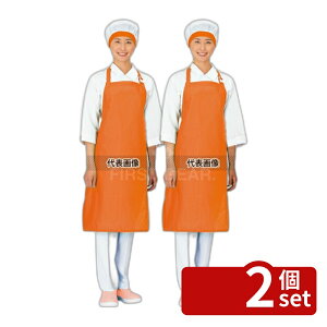 �y2�Z�b�g�z���R�E �C���i�[�h���C�G�v���� ��|�� E1610-1 �u���[ �t���[(����87cm�E�g��69cm) ���j�t�H�[�� No.1171010