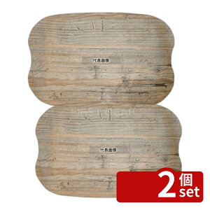 �y2�Z�b�g�z�A�[�X�g���[ ���B���e�[�W 46cm×36cm R064110 �O��:460×360×H18 �g���[ �J�t�F/�T�[�r�X�p�i/�g���[ No.1243030