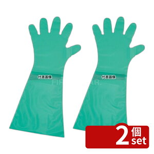 �y2�Z�b�g�z�����p�b�N �G���{�X��� #50 �����O �O���[�� (�ܖ{�i��) 50���� S 45�� 25cm×32cm×4cm ��� ���j�t�H�[�� No.1245930