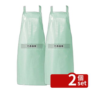 �y2�Z�b�g�z���R�E �W���u�G�v���� �����^�C�v E1501-2 �O���[�� 900×700 ���j�t�H�[�� No.1190020