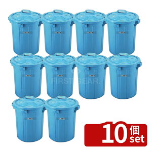 �y10�Z�b�g�zRISU(���X) GK �ی^�|���y�[�� 90�^ �{�� 85L ��520×H610mm ���|/�q���p�i No.1195800