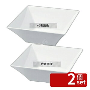 �y2�Z�b�g�z��򎽊� �j���[�z���C�g �[�^���� 25cm 255×255×H105mm �a/�m/�� �H�� No.0261230