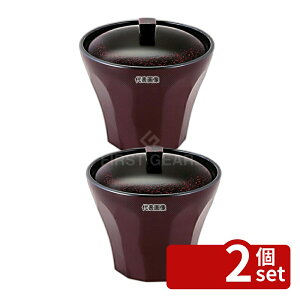 �y2�Z�b�g�z����N���t�g �ϔMABS �r�������J�b�v ����/������ 3.1�� 6-201-1 230ml ��94×H91mm �o No.0326510