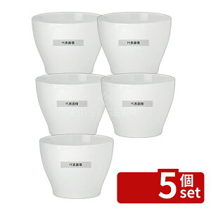 �y5�Z�b�g�z�A�f�B�i �f�B�[�v�{�[�� 19.5cm 524XL 2.4L ��195(185)×H140 No.0421900