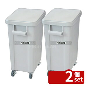�y2�Z�b�g�zRISU(���X) �~�[�p�L���X�^�[�y�[��(�r����t) 70L �O���[(GY) 70L 570×350×H695mm No.0559600