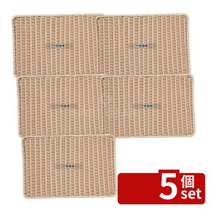 �y5�Z�b�g�z�V���h�[ �R�ێ������̂� DS113 60�^ �i�`������ 600×400×H10 ���̂� No.6278790