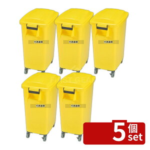 �y5�Z�b�g�z�A�������� �~�[�y�[�� �L���X�^�[�t CK-70 �C�G���[ (Y) 70L 572×356×H704 ���|/�q���p�i No.6449900