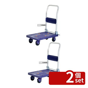 �y2�Z�b�g�z�r�[�J�� �������ÃJ�i�������120 BJC-120TS 400×685×H800 �J�[�g/��� No.3865400