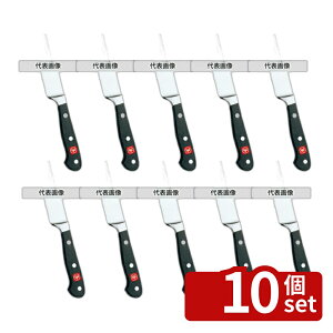 �y10�Z�b�g�z���H�X�g�t �N���V�b�N �u���b�h�i�C�t 4151 26cm 1030101026 382 �i�C�t No.4126900