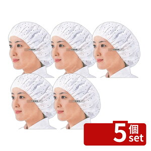 �y5�Z�b�g�z���{���f�B�J���v���_�N�c �c�N�c�N�X�q (100����) EL-102W L �z���C�g ���j�t�H�[�� No.4796600