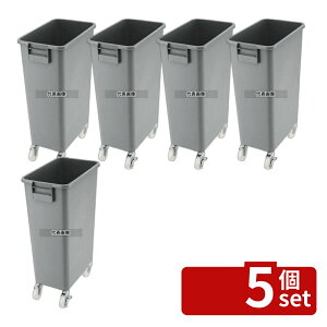 �y5�Z�b�g�zBK �_�X�g�p�y�[�� �L���X�^�[�t 45�^ �{�� 45L 415×265×H688(�{�̍���:H592) ���|/�q���p�i No.4676701
