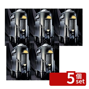�y5�Z�b�g�zCAMBRO(�L�����u��) �J���T�[�o�[ CSR5 (110) �u���b�N 19L 340×465×H710 �r���b�t�F/���� No.5031500