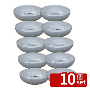 �y10�Z�b�g�z���_���z���C�g �{�[�� 8�� (��255) 2360ml ��255×H80 �a/�m/�� �H�� No.8180420