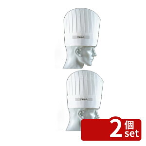 �y2�Z�b�g�z�p���X�n�b�g (10����) PH-115NT ���^ 25cm 250 No.8672900