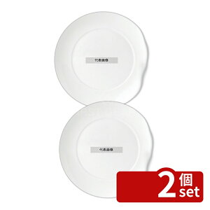 �y2�Z�b�g�z�A�V�����[ �v���[�g 27cm 5C113601101 270×H20 �a/�m/�� �H�� No.7211810