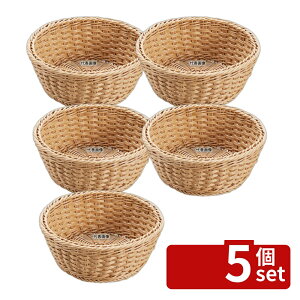 �y5�Z�b�g�z�V���h�[ �R�ێ��� �ی^�o�X�P�b�g DS106 27�^ �i�`������ ��270×H100 �f�B�X�v���C�p�i No.7703680
