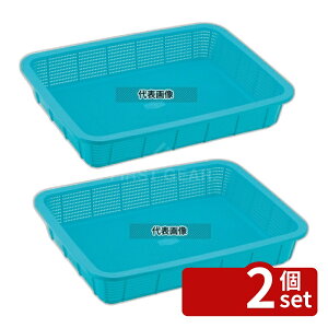 �y2�Z�b�g�z�ϐ��e�N�m���^ �Z�L�X�C �p�J�S ��^ K543LG �� ���C�g�O���[�� PP 300×225×H55 ���؂�/�U�� No.7760430