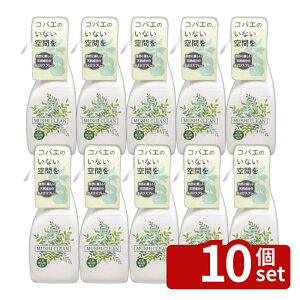�y10�Z�b�g�z�C�J������ ���V�N���� �R�o�G�p�X�v���[ 280ml