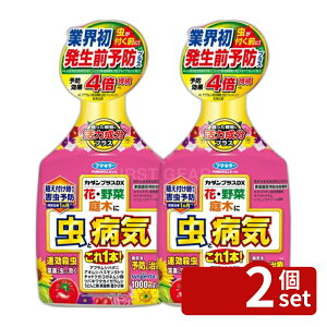 �y2�Z�b�g�z�t�}�L���[ �J�_�� �v���XDX 1000ml ���|�p �E�� �E�� [4902424447200]