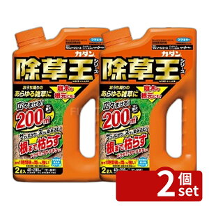 �J�_�� ������ �U�b�\�[�W�G�[�X 2L×2��