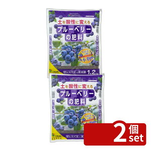 �y2�Z�b�g�z�Ԃ����� �u���[�x���[�̔엿 1.2kg [4977445053501]