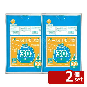 �y2�Z�b�g�z�v���X�v���XHD�y�[���p30L0.013�� | �I���f�B �S�~�� 30L �� HDPE �y�[���p PP-HD30-30B �����x�|���G�`���� 550mm 700mm �S�~�� ���|�p ���|�p�i �|���� ���� ������� �Ɩ��p ���� �� ����