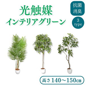 t@~[ECt G} CeAO[ [ށFAJV/pL/xW~] | lHϗtA tFCNO[