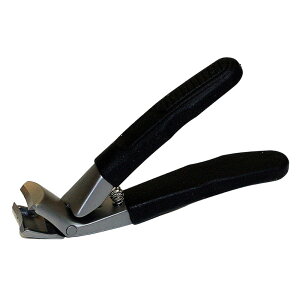 炭炭pܐ؂ ₷t[a35099] | XeXn