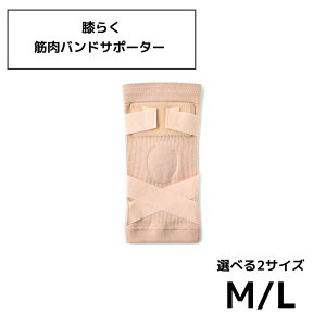 G炭ؓohT|[^[ IׂTCY[M/L] | GT|[^[ Ђp x[W N