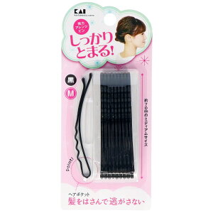 _r[TL^L ̓AWsM KQ3121 [Pie/10{] | L AWs ̓wAs  wAAW wAX^C wAANZT[ ^ s epi eACe 