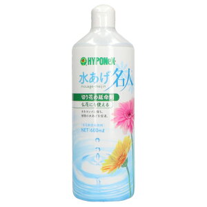 nC|lbNX l [Pie/600ml] | nC|lbNX ؉  l t[AWg ؉ h{  A Ԋ S { ɗD g₷ XeX 