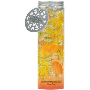 _r[TL^v n[oE tOXr[Y VgXEvW[ [Pie/200g] | vۍHƏ n[oE tOX VgX vW[ r[Y [tO