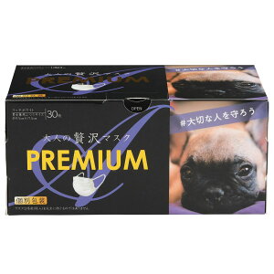 cY l̂}XNPREMIUM V7 [Pie/30] | sDz}XN l v~A }XN  v[c j  lp S \ }XNCt b`zCg ĝ 