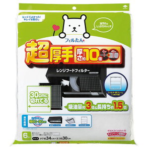 mA~GR[v_Nc 30CMɐ؂ĂӂtB^[ [Pie/6] | C tB^[  ӂtB^[ mA~  tB^[ { tB