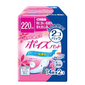 {NVA |CYpbhSX[p[14×2pbN [Pie/2] | |CYpbh { NVA SX[p[ zpbh ނpbh pbh ARpbh lp