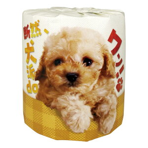 _r[TL^ѐ fRAhDA! [Pie/1] | fRh gCbgy[p[ ObY gCbg[ Ճvg D gCbg[ ii mxeB ei 