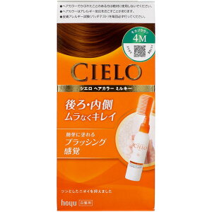 _r[TL^z[[ VG wAJ[ EX ~L[ 4M JuE [Pie/1] | z[[ wAJ[ VG  JuE wAJ[EX t^Cv R[̌^ V