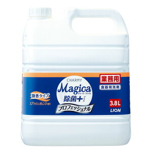 CInCW[ Ɩp `[~[ }WJ + vXvtGcVi  XvcVIW̍ [Pie/3800ml] | `[~[ }WJ XvbVIW Hp 