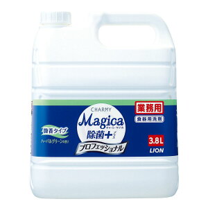 CInCW[ Ɩp `[~[ }WJ + vtGcVi  n[oO[̍ [Pie/3800ml] | Majica  Ɩp 䏊p  Hp ې 