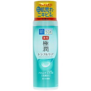 _r[TL^[g { p ɏ XLRfBVi[ [Pie/170ml] | { XLRfBVi[  ɏ ϐ pϕi O``_ ngMGL