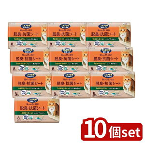 y10Zbgz KeePerZ jƂgC ELERۃV[g [Pie/8] | LgCV[g VXegC jƂgC ELV[g RۃV[g LV[g ybgV[c 