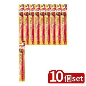 _r[TL^y10Zbgz GrX B-3601M v~APAnuVE6񃌃M[ ӂ [Pie/1{] | GrX v~APA nuV 6񃌃M[ uV L ^wb